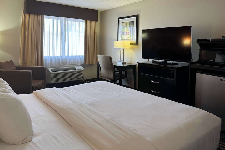 1 King Bed (8 of 8)