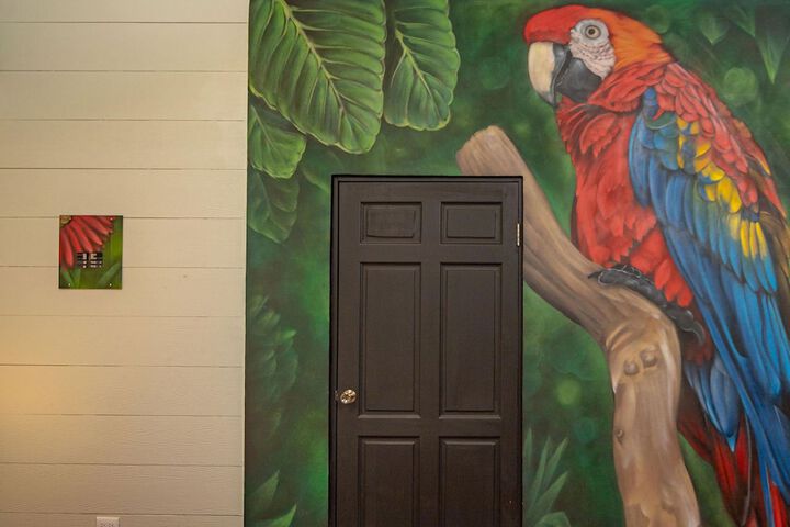 Room 49 of 64