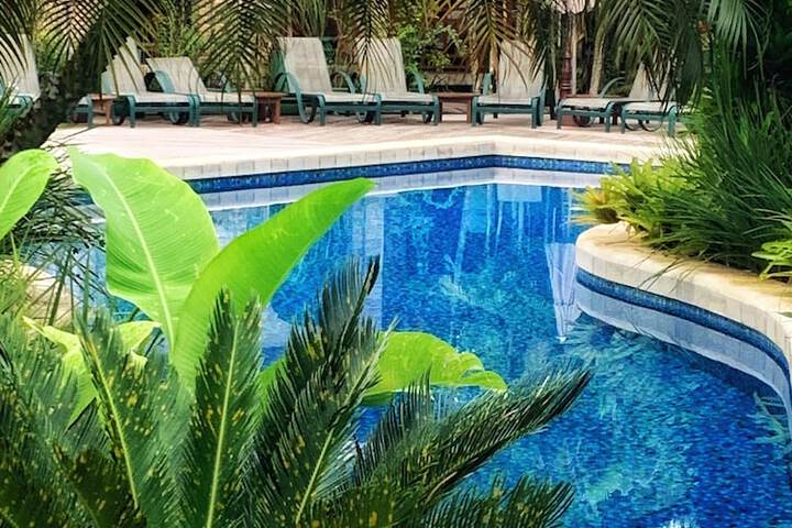Pool 31 of 80