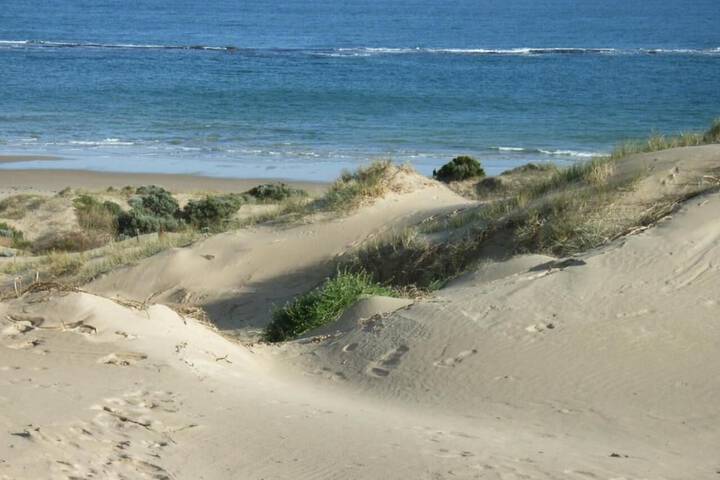 Beach 21 of 28