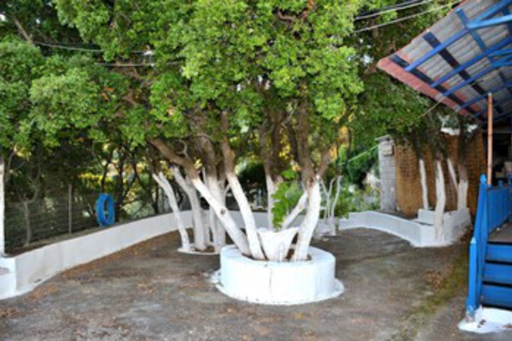 Terrace/Patio 36 of 41