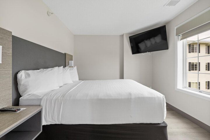Room 12 of 46