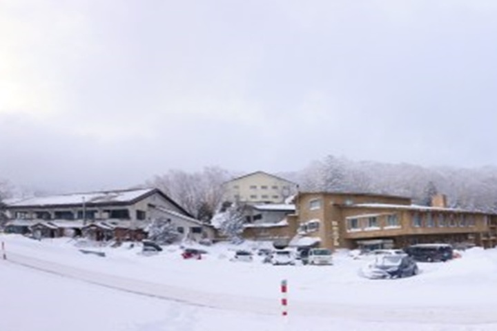Maruike Hotel in Yamanouchi