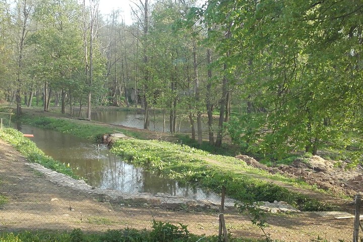 Property Grounds 37 of 40