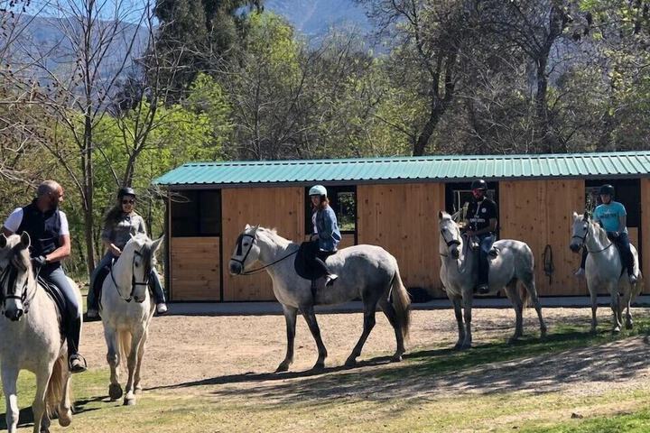 Horseback riding