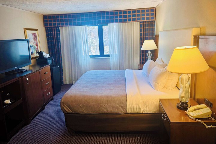 1 King Bed (3 of 7)