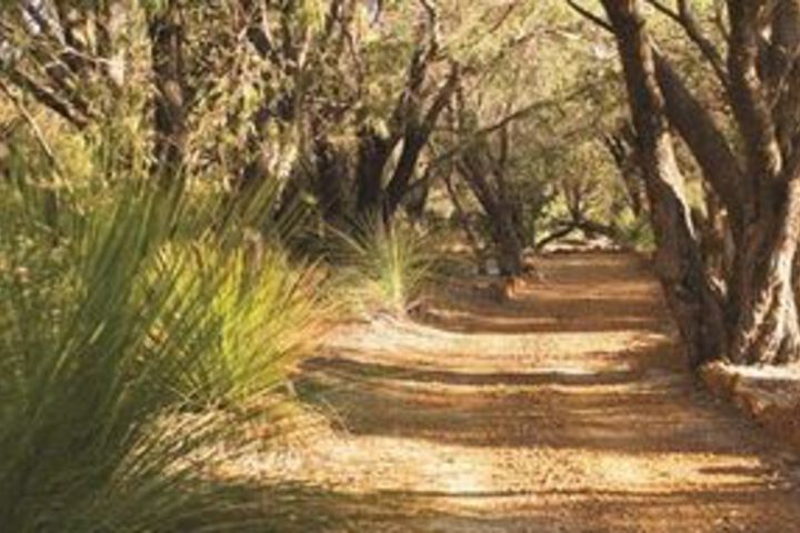 Property Grounds 44 of 49