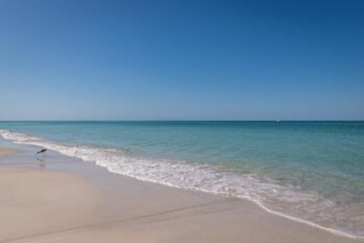 Beach 8 of 39