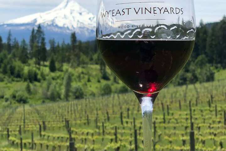 Vineyard