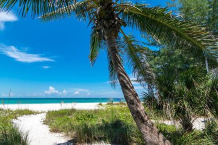 Beach 22 of 59