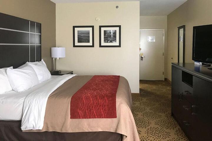 Standard Room, King or Two Doubles (5 of 11)