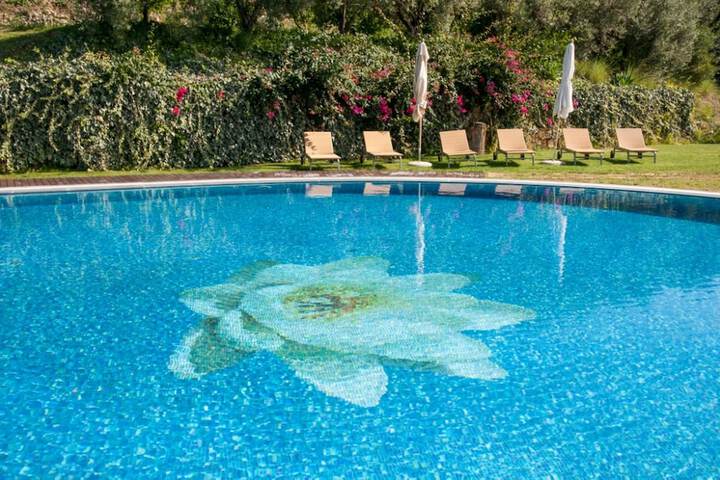 Pool 36 of 117