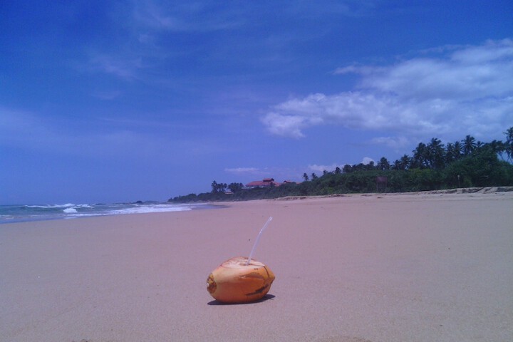 Beach 102 of 123