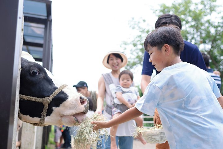 Children's activities