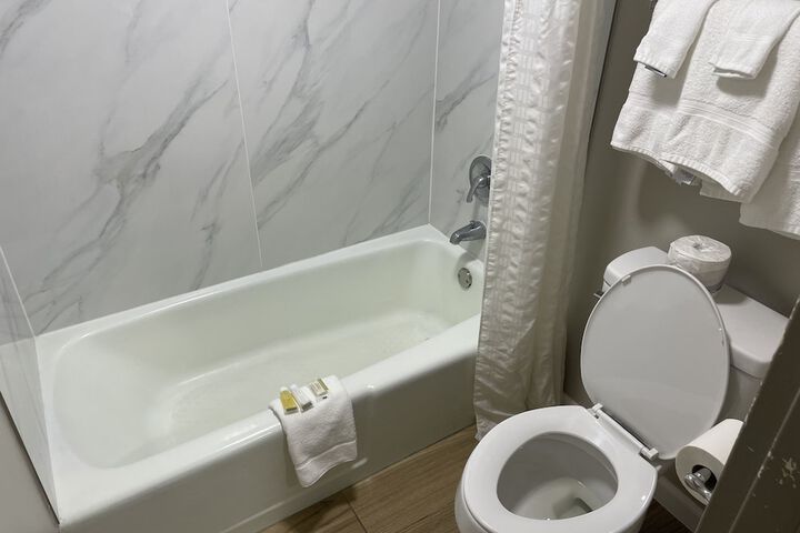 1 King Bed Accessible (16 of 39)