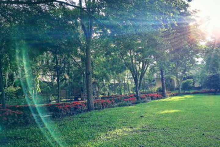 Property Grounds 39 of 42