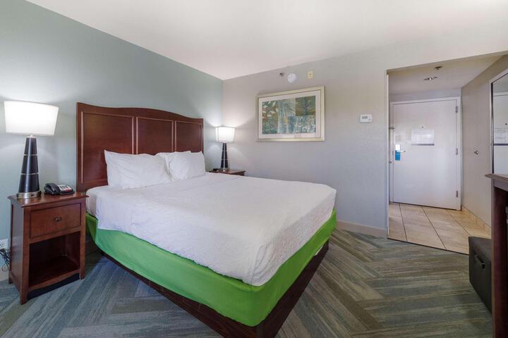 1 King Bed (1 of 16)