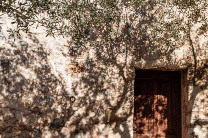 General 12 of 100