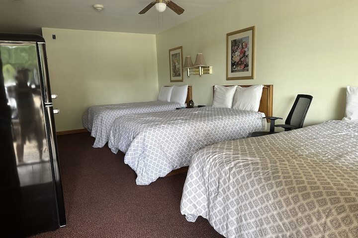 Deluxe Room 2 Queen Beds (3 of 6)