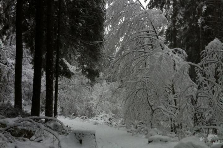 Property Grounds 49 of 60