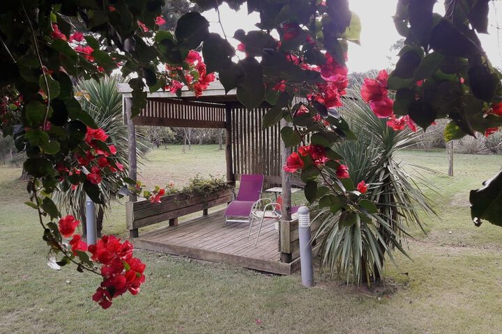 Property Grounds 14 of 26