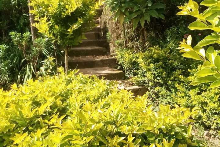 Property Grounds 44 of 52