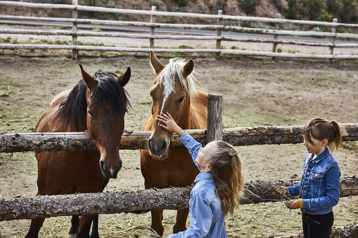 Children's activities