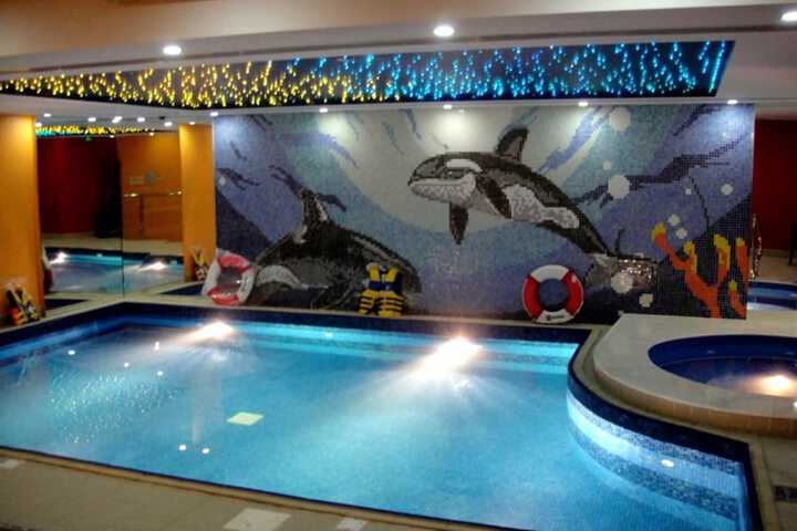 Pool 44 of 64