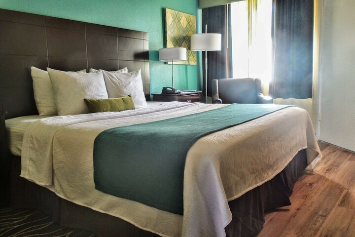 Suite 1 King Bed Mobility Accessible Roll in Shower Sofa Bed Full Breakfast (17 of 23)