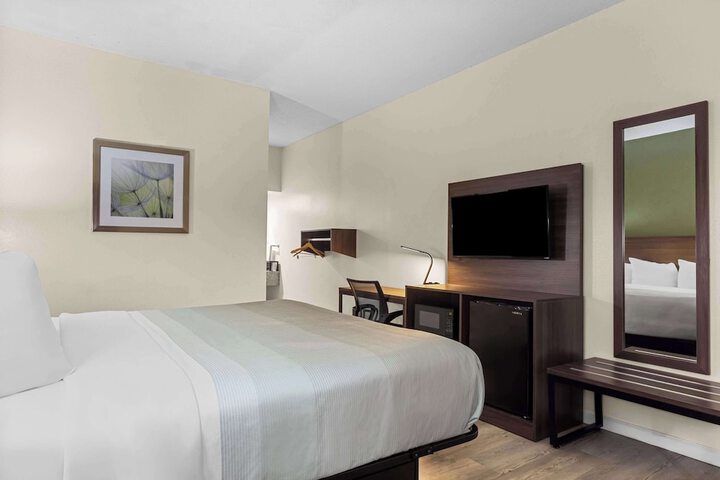 1 King Bed (3 of 14)