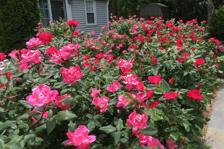 Hotel View 98 of 104