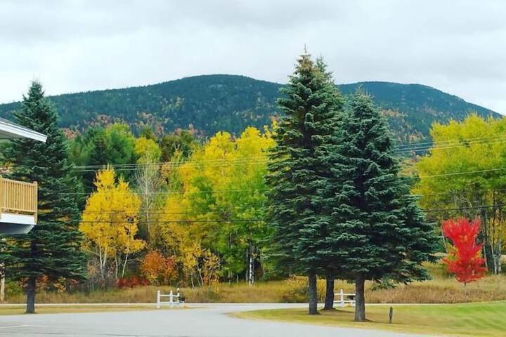 Property Grounds 31 of 44