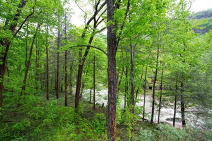 Property Grounds 134 of 173