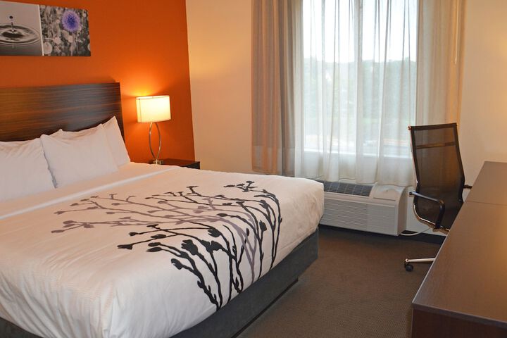 1 King Bed (11 of 13)