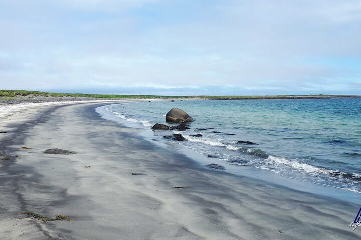 Beach 40 of 53