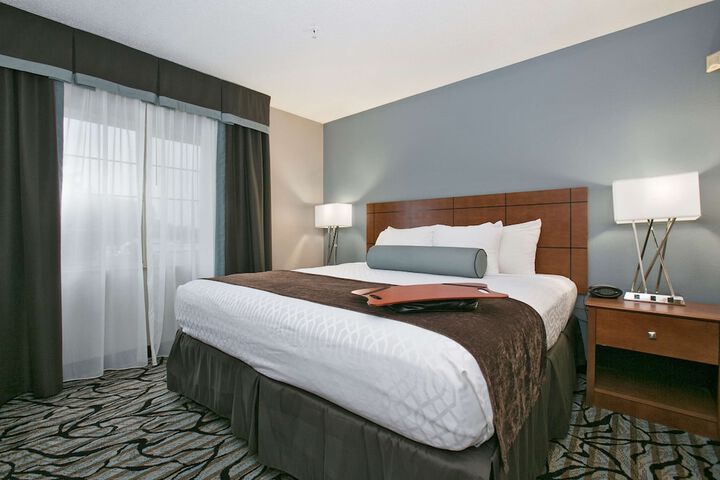 Suite 2 Queen Beds Sofa Bed Microwave and Refrigerator Full Breakfast (10 of 59)