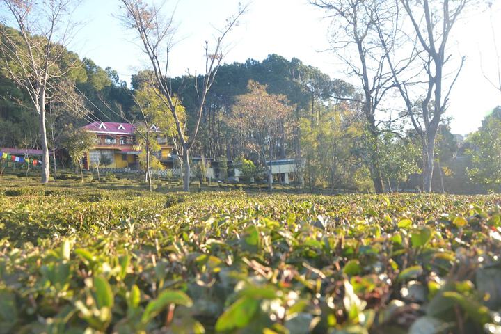 Hotel Exterior 86 of 121