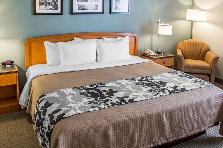 1 King Bed (12 of 14)