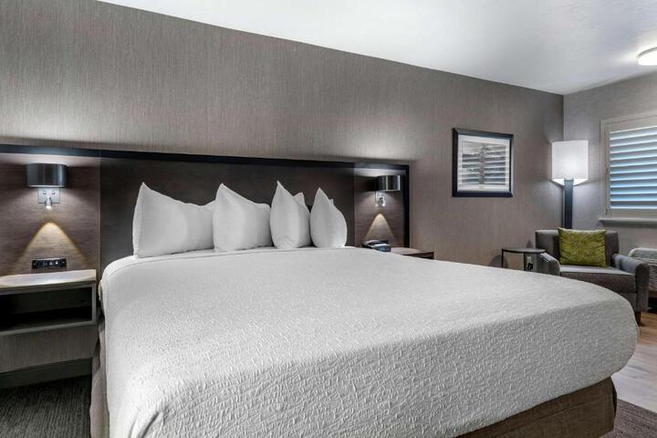 1 King Bed Sofa Bed Pet Friendly Room Work Desk Microwave and Refrigerator Full Breakfast (3 of 17)