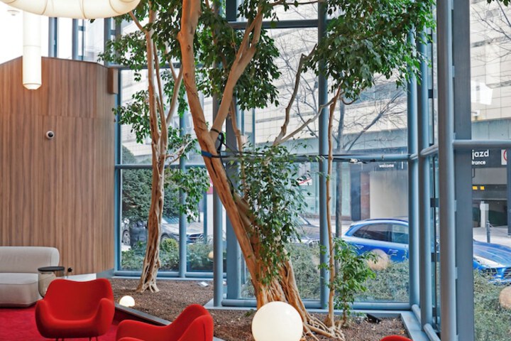 Entrance & Lobby
