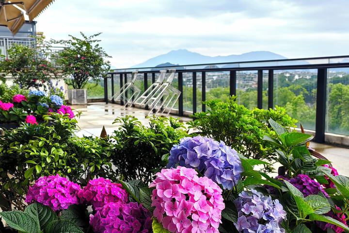 Terrace/Patio 85 of 102