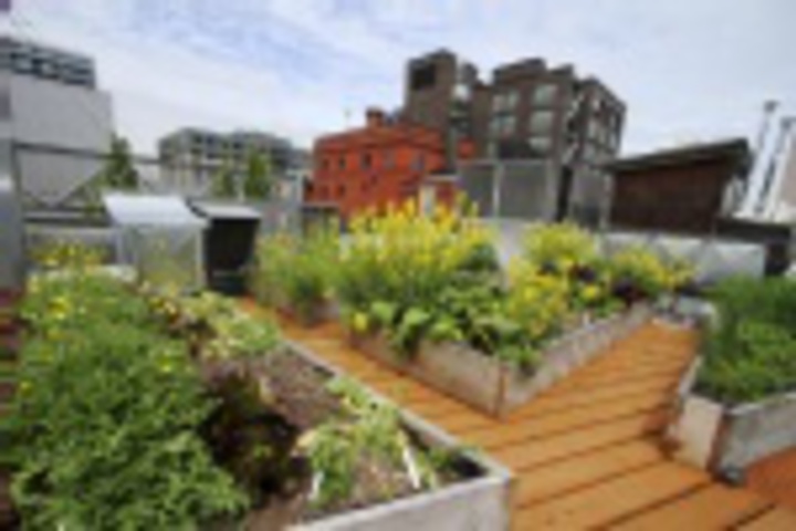 Terrace/Patio 41 of 420