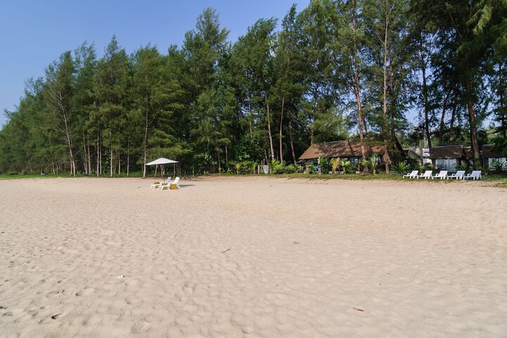 Beach 59 of 66