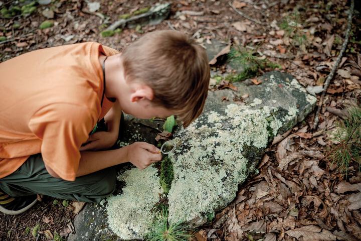 Childrens Activities 43 of 71