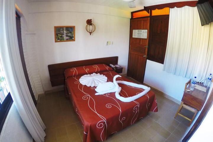 Photo 6