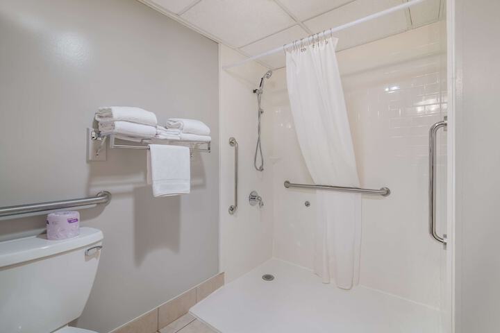 1 King Bed Accessible (11 of 13)
