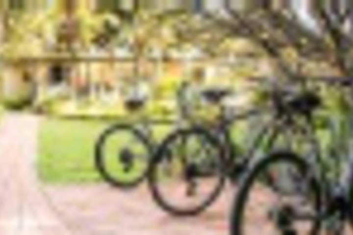 Outdoor Activities 29 of 180
