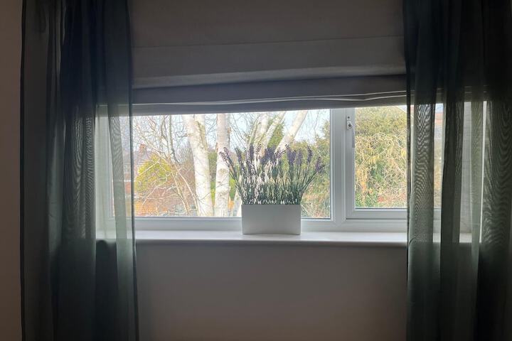 Room 19 of 46