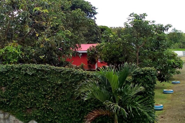 Property Grounds 41 of 49