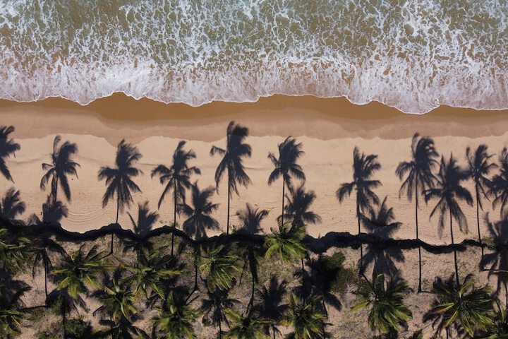 Beach 98 of 104